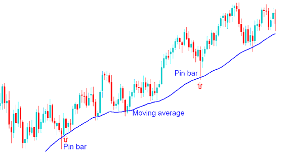 Pin Bar Indices Price Action Combined with Moving Averages - Pin Bar Indices Price Action Index Trading Method and Pin Bar Reversal Indices Price Action Trading Method Tutorial