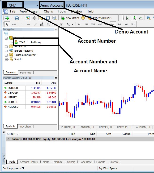 Forex Trading Account Name and Forex Trading Account Number on MT5 Account - Forex MT5 Account Details - Forex MT5 Account Login - Forex Trading Sign in to a Forex Trading Account - Forex Trading Sign in to a Trading Account