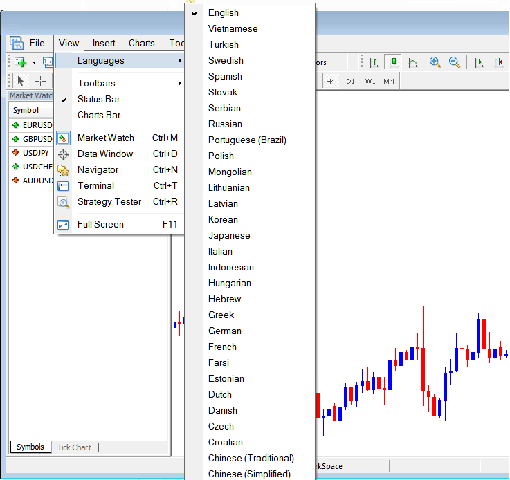 Changing Language of MT5 Forex Trading Software - MT5 Changing Language of MT5 Platform - How to Change MT5 Platform Language PDF - MT5 Language Settings